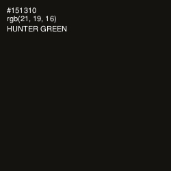 #151310 - Hunter Green Color Image
